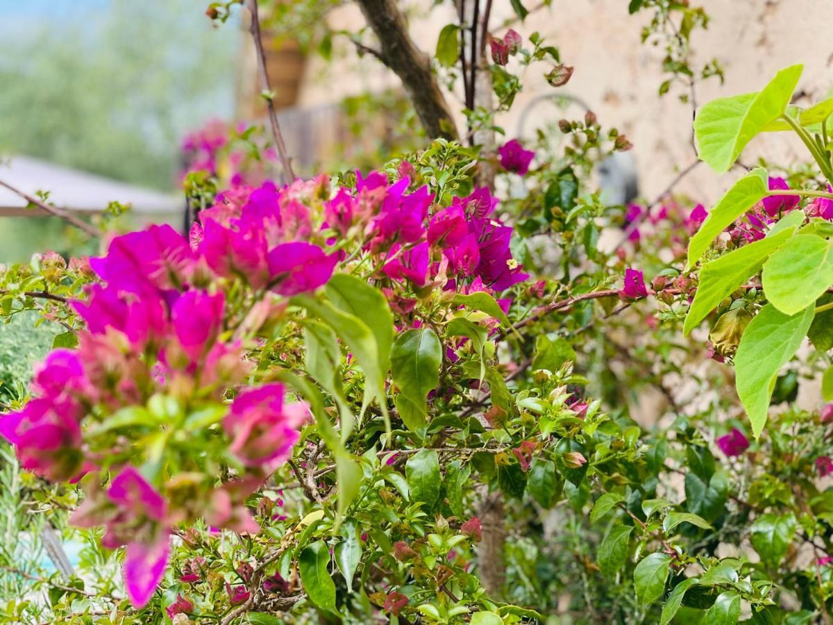 Abeille Bed & Breakfast Vence Exterior photo